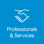 Professionals Services